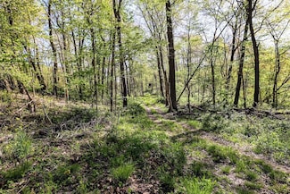 Vl Dewey Lake St Lot Unit WP001, Decatur, MI 49045