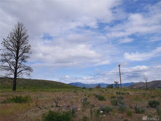 10 Signal Hill Rd, Twisp, WA 98856