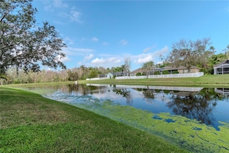 27045 Firebush Dr, Wesley Chapel, FL 33544
