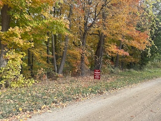 12831 Strotheide Rd NE, Grattan Township, MI 48809