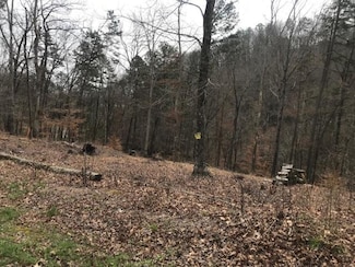 Lot 26 Sawmill Cove, Rockwood, TN 37854