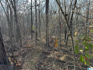 0 Broken Arrow Creek Rd Unit 21407766, Riverside, AL 35135