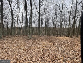 124 Spring Mountain Dr, North Union Township, PA 17985