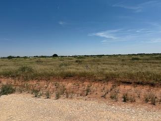 1170 SE 1630, Andrews, TX 79714
