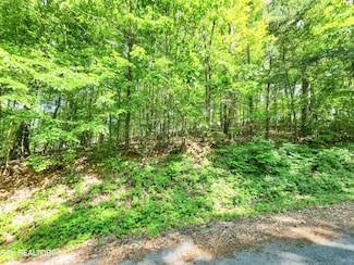 Lot 9 & 10 Sara Ln, Maynardville, TN 37807