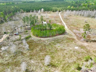 0 Log Cabin Rd Unit LotWP001 23229925, Eastman, GA 31023