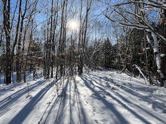 0 Stone Rd, Harrisville, NY 13648