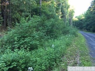 0 Paradise Lake Rd Unit 132490, Catskill, NY 12414
