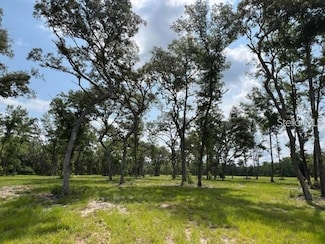6 NW 14th St, Ocala, FL 34475