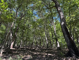 0 Moss Patch Trail Unit 7642702, Jasper, GA 30143