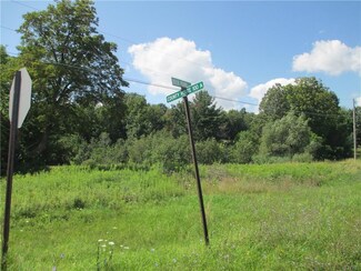 0 Co Rte 100a Unit S1038040, Alexandria, NY 13640