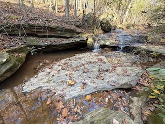 0 Thurman Baccus Rd Unit 25621897, Social Circle, GA 30025