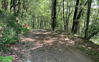 LT107 Steep Cove Rd, Murphy, NC 28906