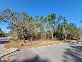 0 Wolf St, Bay Saint Louis, MS 39520
