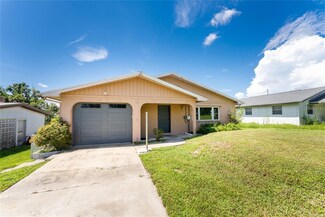 29171 Orva Dr, Punta Gorda, FL 33982