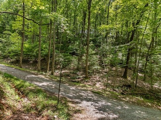 0 Jagger Run Unit 417130, Ellijay, GA 30540