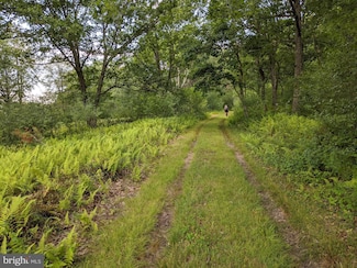 614 Graystones Jeras Rd Lot S-10, Albrightsville, PA 18210