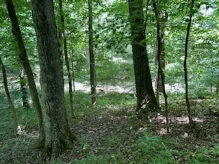 0 U S Highway 64, Frankewing, TN 38459