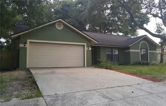 1621 Dusty Rose Ln, Brandon, FL 33510