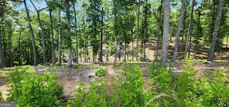 LT 106 Split Creek Rd Unit 106, Morganton, GA 30560