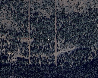 0 Falcon Rd Unit DW25072031, Alturas, CA