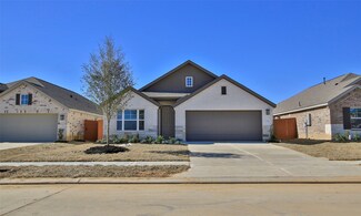 19419 Valletta Green Dr, Hockley, TX 77447