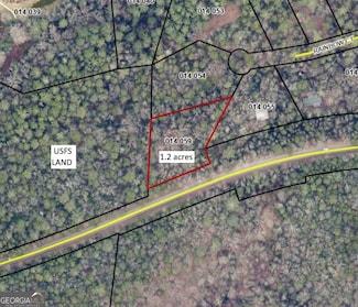 701 Georgia 356, Clarkesville, GA 30523