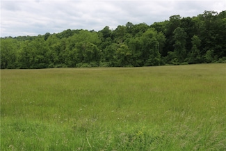 0 Perry Rd Unit 1707447, Avella, PA 15021