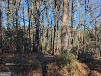 LOT J251 Pine Ridge Ct, Ellijay, GA 30536
