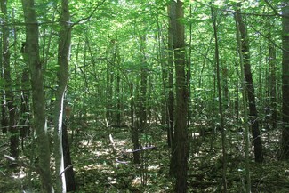000 Sherman Rd Unit 5 Acres, Frederic, MI 49733