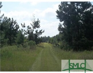 185 Sandy Creek Rd, Nevils, GA 31321