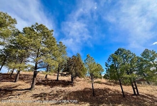 216 Sunny Slope Dr, Ruidoso, NM 88345