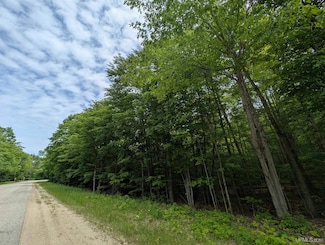 Parcel "B" W Smith Lake Rd, Manistique Township, MI 49854