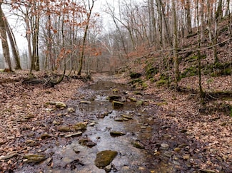 0 Shelter Branch Rd, Cumberland Furnace, TN 37051