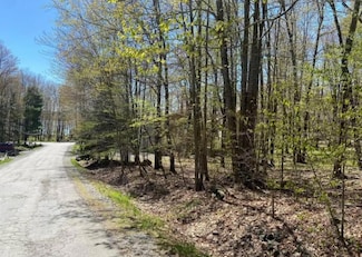 5 Trail, Pocono Lake, PA 18347