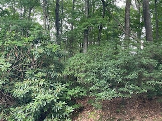 TBD Dogwood Trail, Hillsville, VA 24343