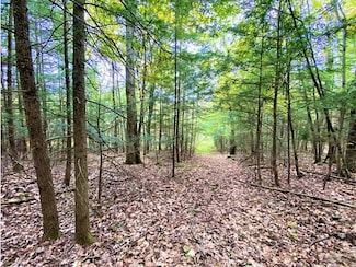 0 Tinkertown Rd Unit R1651977, Tuscarora, NY 14801