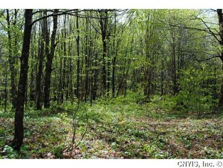 0 N Osceola Rd Unit S331018, Lewis, NY 12950