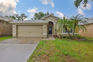 1129 Emerald Hill Way, Valrico, FL 33594