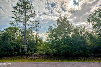 Lot 19 Velvet Dr, Chipley, FL 32428