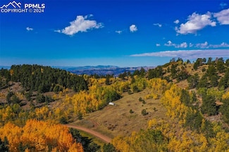 230 Penrose Cir, Cripple Creek, CO 80816