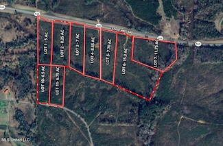 0 Mississippi 540, Braxton, MS 39044