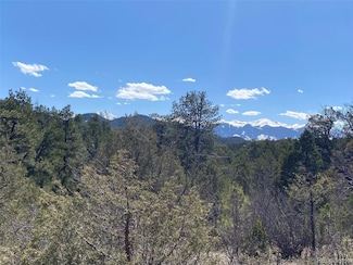 TR 104 F Path, Cotopaxi, CO 81223