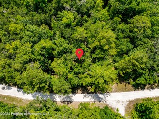 14487 Carolina Dove Rd, Weeki Wachee, FL 34614