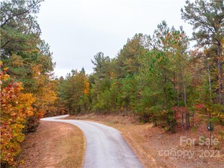 LOT 19 River Park Ln, Mill Spring, NC 28756