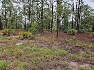 308 Sunflower Ave, Lake Placid, FL 33852