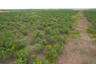 0 Tbd Hwy 6, Lueders, TX 79533