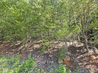 Lot 7 Black Feet Way, Del Rio, TN 37727