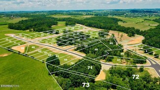 LOT62 927 Herbert Dr, Greenback, TN 37742