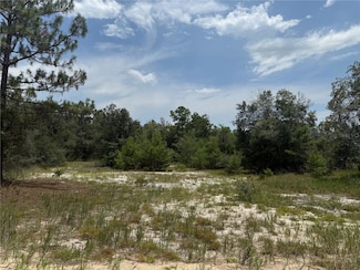 129 Viola Dr, Hawthorne, FL 32640